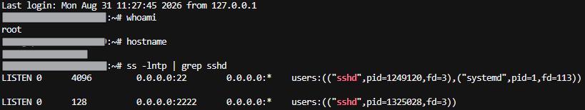 새 세션에서 whoami·hostname·ss로 별도 포트 리스닝을 확인한 결과
